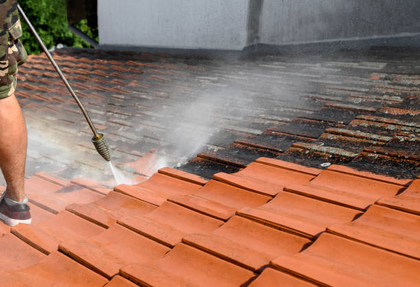 Best House Pressure Washing  in Ellisville, MS