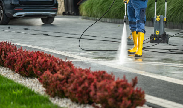 Best Power Washing Near Me  in Ellisville, MS