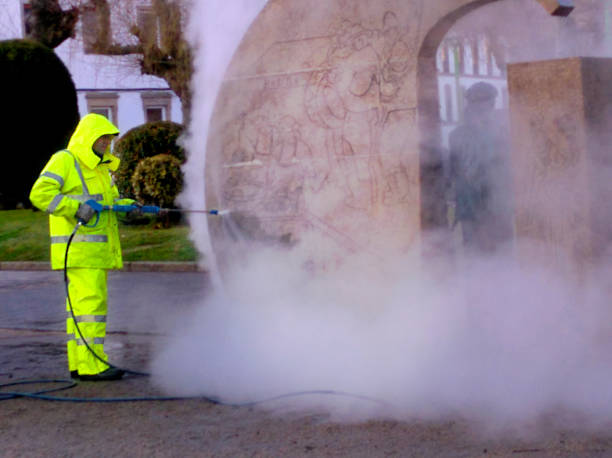 Best Residential Pressure Washing Services  in Ellisville, MS